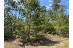 TBD SW 112TH ST #Lot #17, OCALA, FL 34476 Sold 06/20/25