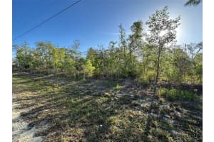 MLS# MFROM700286, Brooksville, Florida 34614