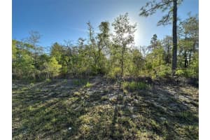 MLS# MFROM700286, Brooksville, Florida 34614