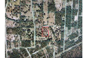 16162 44TH STREET, OCALA, FL 34481 Sold 05/23/25