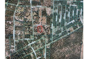 16162 44TH STREET, OCALA, FL 34481 Sold 05/23/25