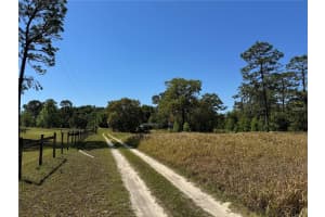 16162 44TH STREET, OCALA, FL 34481 Sold 05/23/25
