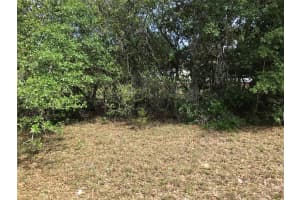 224 COLOGNE STREET, INTERLACHEN, FL 32148 Sold 07/28/25