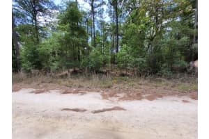 0 28TH LANE, OCALA, FL 34481 Sold 06/11/25