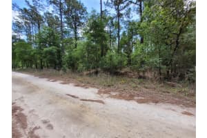 0 28TH LANE, OCALA, FL 34481 Sold 06/11/25