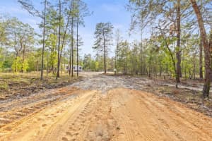 930 145 COURT, WILLISTON, FL 32696 Sold 06/25/25