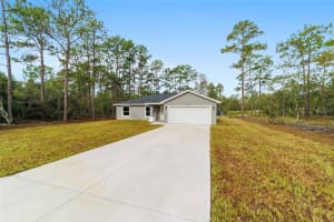 24375 FOXGLOVE LANE, DUNNELLON, FL 34431 - MLS#MFROM700348