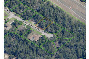 7 CROSSANDRA COURT, HOMOSASSA, FL 34446 - MLS#MFROM700390
