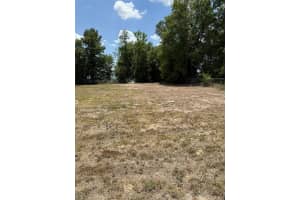 15060 29TH STREET, OCALA, FL 34481 Sold 06/04/25