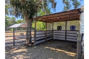 11435 123RD AVENUE, OCKLAWAHA, FL 32179 Sold 05/30/25