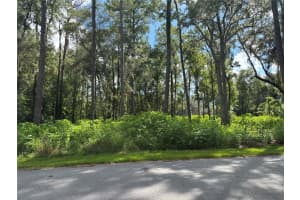 1555 73RD PLACE, OCALA, FL 34480 - MLS#MFROM700429