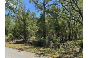 TBD NW HILLSDALE AVE #Lot #15, DUNNELLON, FL 34431 - MLS#MFROM700500