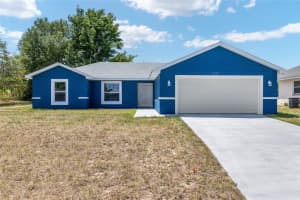 6570 129TH LOOP, OCALA, FL 34473 - MLS#MFROM700574