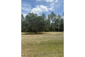 TBD SW 158TH AVE LOT 17, OCALA, FL 34481 - MLS#MFROM700597