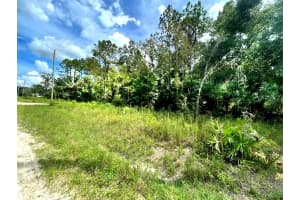 00 16TH PLACE, OCALA, FL 34481 - MLS#MFROM700609