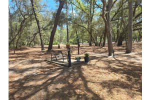 16205 119TH STREET, OCKLAWAHA, FL 32179 Sold 07/02/25