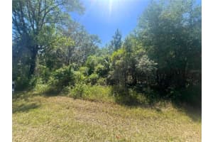 6610 SHOREWOOD DRIVE, HERNANDO, FL 34442 - MLS#MFROM700699