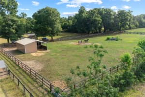 6600 ANTHONY ROAD, OCALA, FL 34479 Sold 07/11/25
