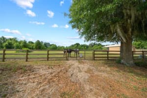 6600 ANTHONY ROAD, OCALA, FL 34479 Sold 07/11/25