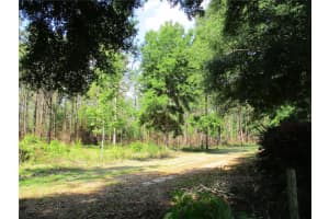14272 112TH CIRCLE, DUNNELLON, FL 34432 - MLS#MFROM700762