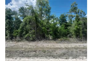 tbd 63RD PLACE, WILLISTON, FL 32696 - MLS#MFROM700811