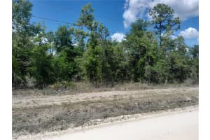 tbd 63RD PLACE, WILLISTON, FL 32696 - MLS#MFROM700811