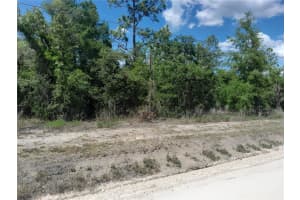 tbd 63RD PLACE, WILLISTON, FL 32696 - MLS#MFROM700811