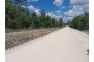 tbd 63RD PLACE, WILLISTON, FL 32696 - MLS#MFROM700811