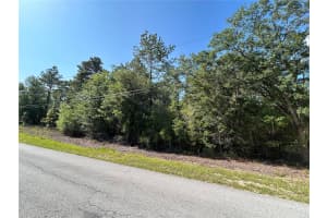 TBD AUDUBON AVENUE, DUNNELLON, FL 34432 - MLS#MFROM700887