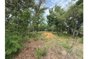 00 SW 158 TERRACE, OCALA, FLORIDA, OCALA, FL 34481 Sold 06/02/25