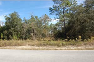 LOMBARDY LN, DUNNELLON, FL 34431 - MLS#MFROM700899