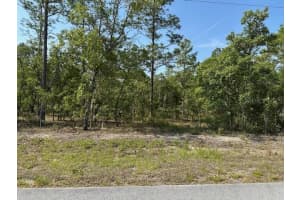 Lot 20 SW ANCHOR BLVD, DUNNELLON, FL 34431 - MLS#MFROM700912