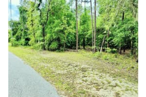 0000 85 LOOP LOOP, DUNNELLON, FL 34431 Sold 06/13/25