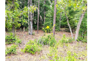 0000 85 LOOP LOOP, DUNNELLON, FL 34431 Sold 06/13/25
