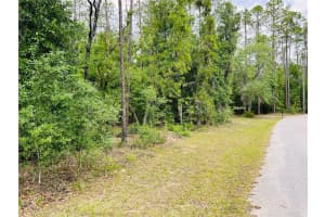 0000 85 LOOP LOOP, DUNNELLON, FL 34431 Sold 06/13/25