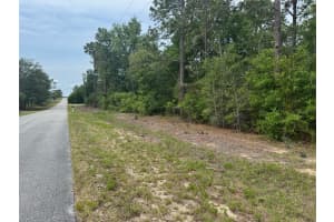 Lot 12 FLORAL COURT, DUNNELLON, FL 34431 - MLS#MFROM700957