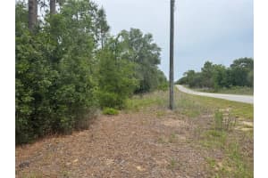 Lot 12 FLORAL COURT, DUNNELLON, FL 34431 - MLS#MFROM700957