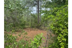 Lot 12 FLORAL COURT, DUNNELLON, FL 34431 - MLS#MFROM700957