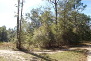 TDB 29 PLACE, OCALA, FL 34481 - MLS#MFROM701012