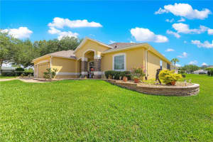 13885 DEL WEBB BOULEVARD, SUMMERFIELD, FL 34491 - MLS#MFROM701055
