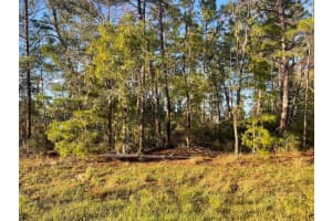 157TH ST, OCALA, FL 34473 - MLS#MFROM701077