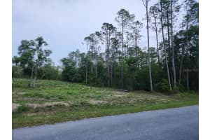 lot 24 HUNTER HILL AVENUE, DUNNELLON, FL 34431 - MLS#MFROM701090