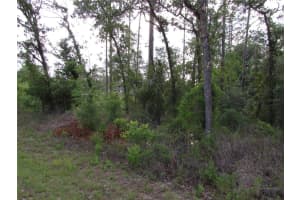 Lot 37 HUNTER HILL AVENUE, DUNNELLON, FL 34431 Sold 09/15/25
