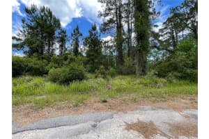 Lot 1 LOCUST PLACE RUN, OCALA, FL 34472 Sold 06/30/25