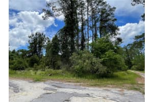 Lot 1 LOCUST PLACE RUN, OCALA, FL 34472 Sold 06/30/25