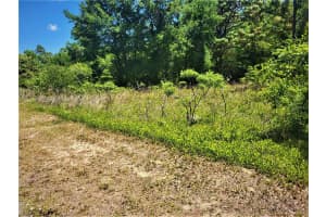 5089 TANGLEWOOD AVENUE, HERNANDO, FL 34442 Sold 07/08/25