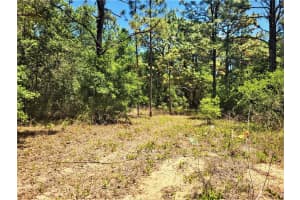 5089 TANGLEWOOD AVENUE, HERNANDO, FL 34442 Sold 07/08/25