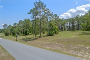 35408 PINEGATE TRAIL, EUSTIS, FL 32736 Sold 07/14/25