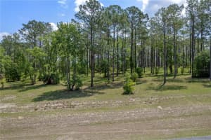 35408 PINEGATE TRAIL, EUSTIS, FL 32736 Sold 07/14/25