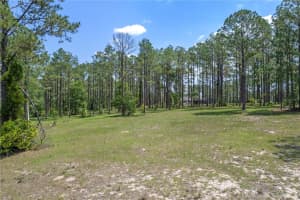 35408 PINEGATE TRAIL, EUSTIS, FL 32736 Sold 07/14/25